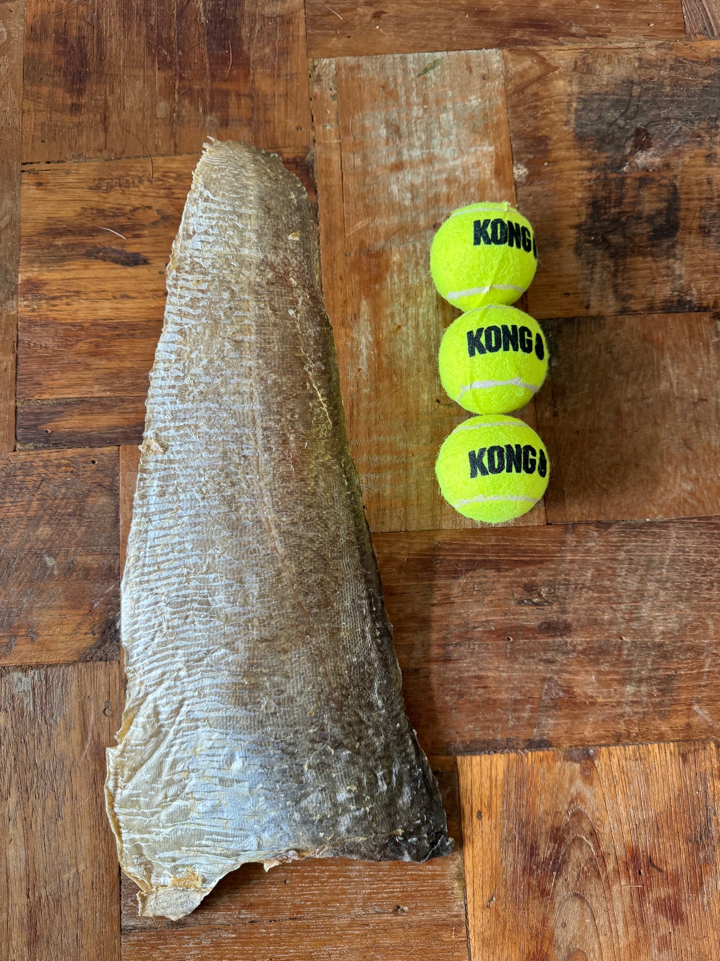 Jumbo Fish Skin Flats