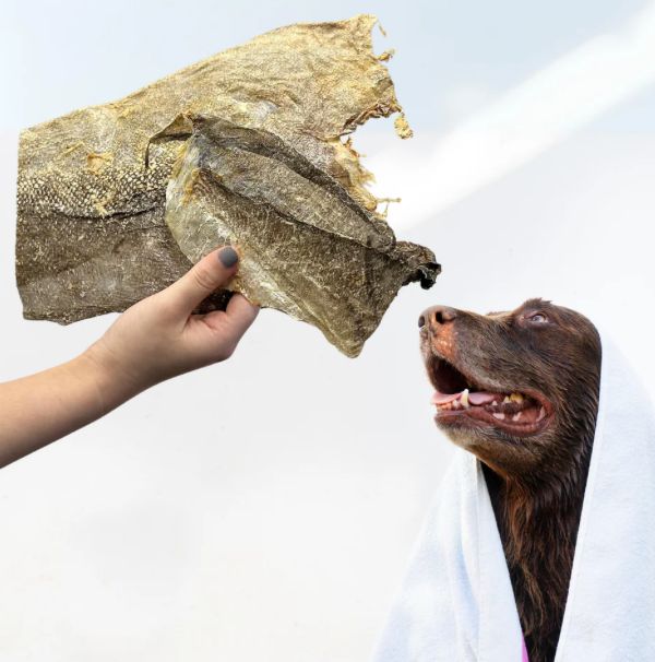 Jumbo Fish Skin Flats