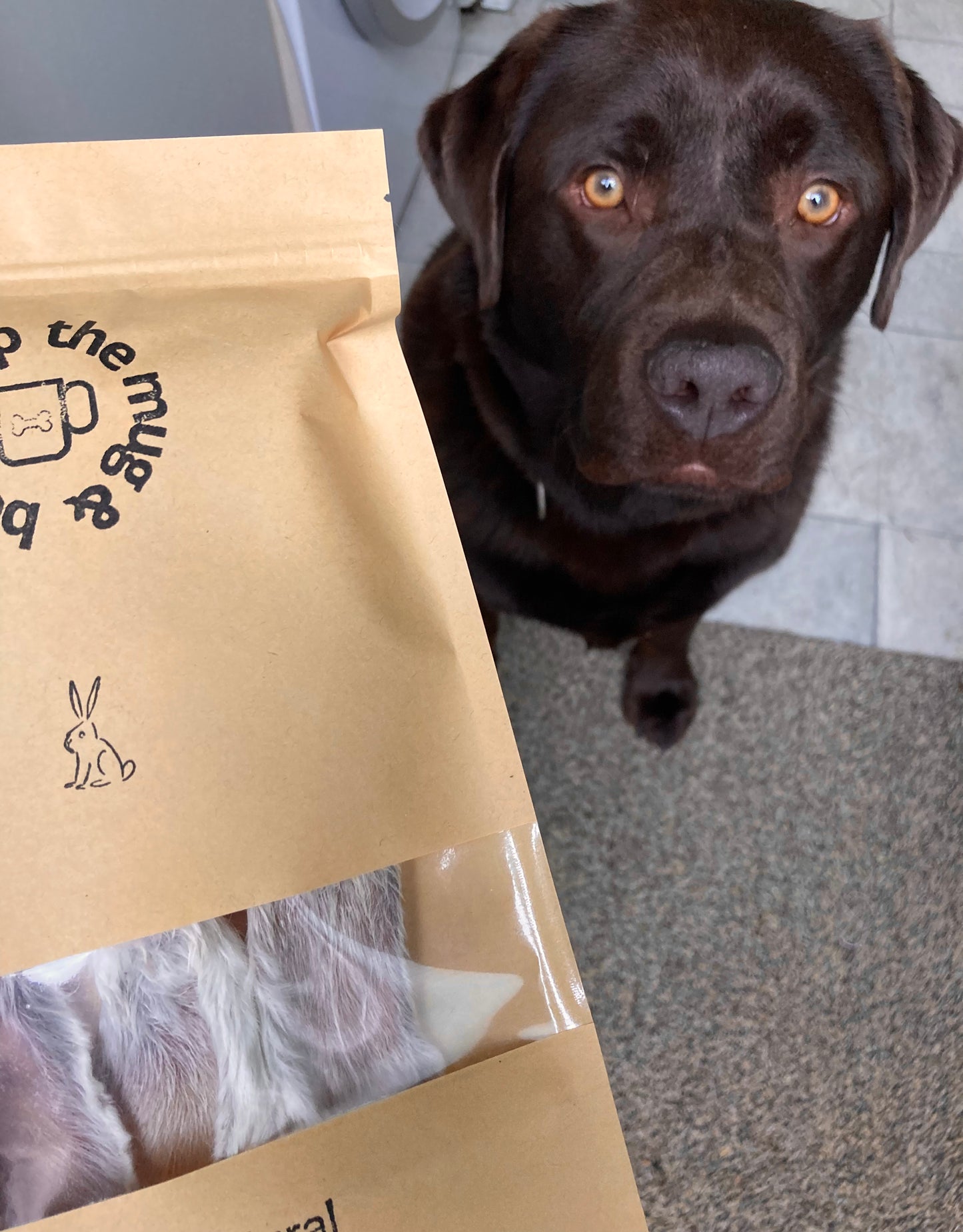 Rabbit Ears Hairy 3 pack