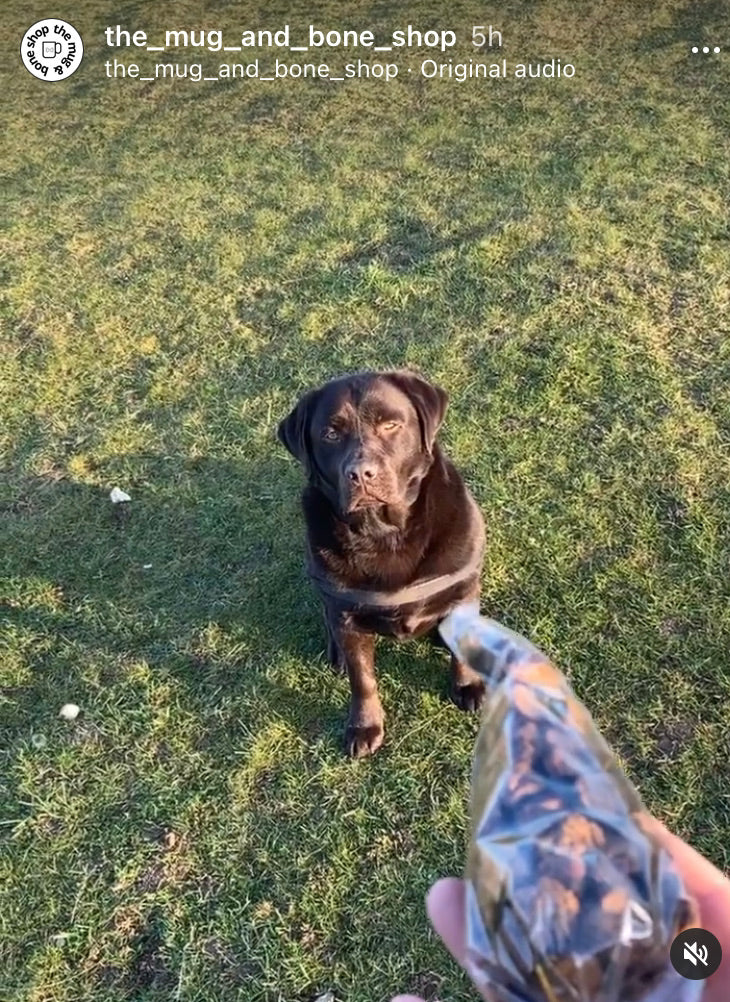 Gourmet Training - Dog Treats Black Pudding