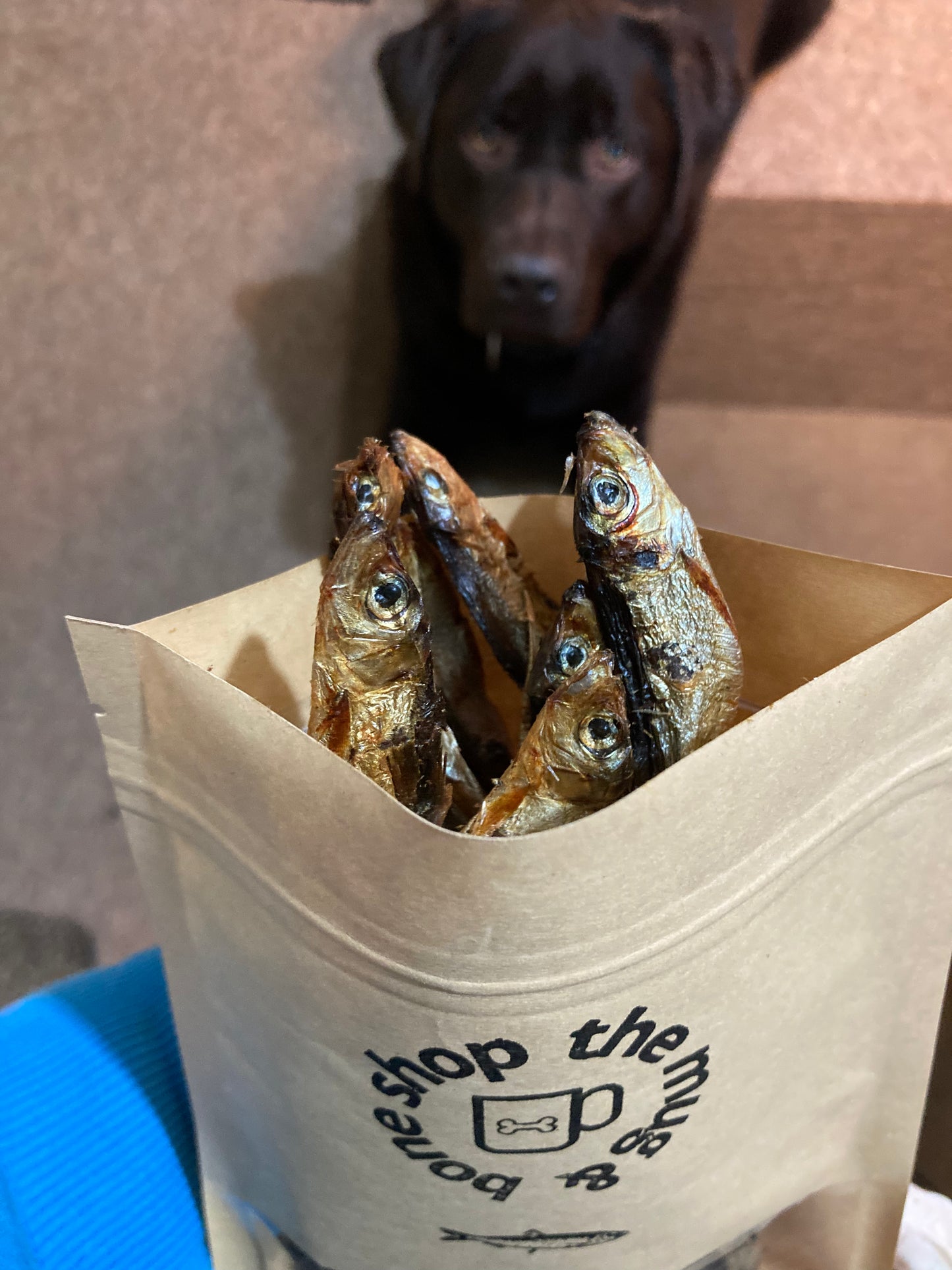 Sprats - Dog Treats