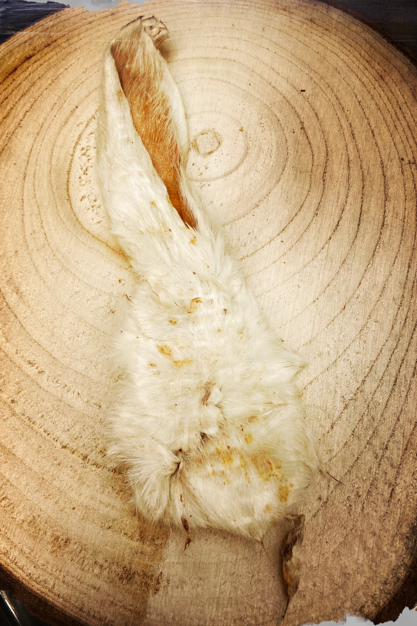 Rabbit Ears pick n mix