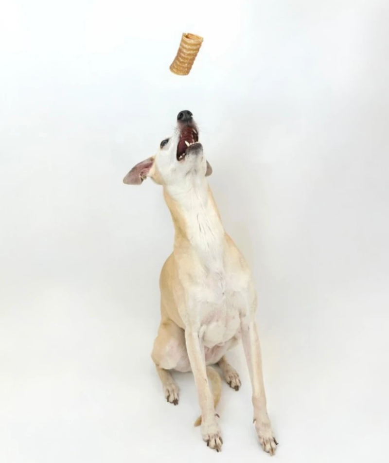 Beef Trachea Chews 3 pieces