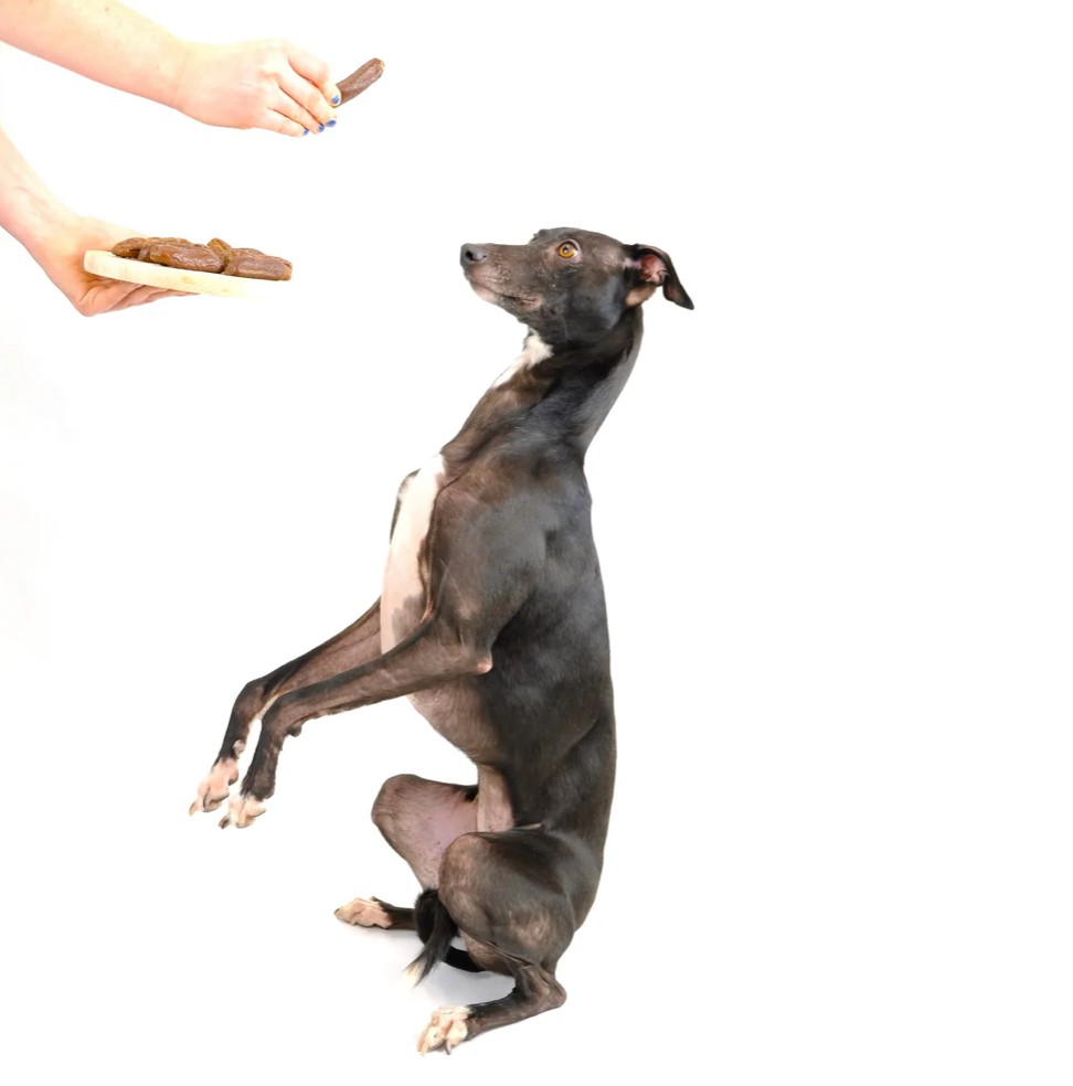 Gourmet Venison Sausages 7 plump sausages